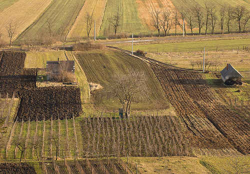 Helicopter view