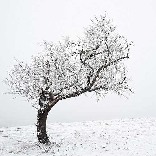Cold
