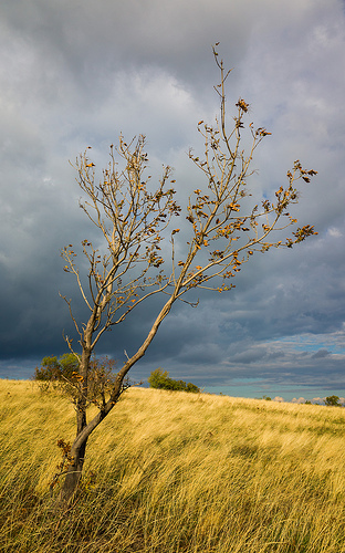 Clouds