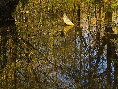 Reflections