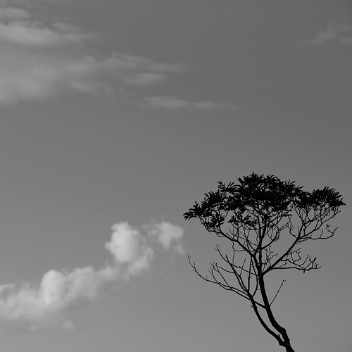 Clouds