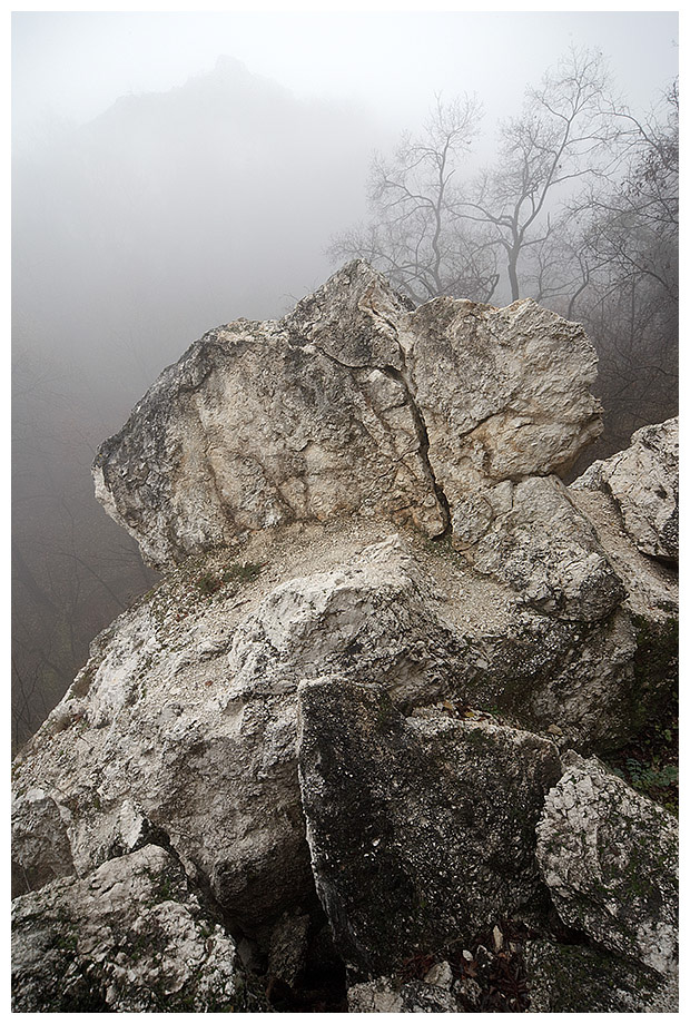 Készült: 2009. 11. 22.