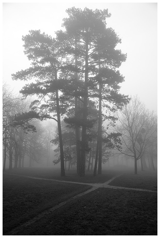 Készült: 2009. 12. 31.