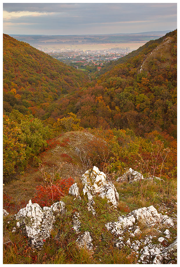 Készült: 2010. 10. 06.